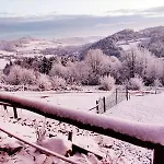 Domek alpejski Faron