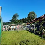 Faron Domek alpejski *