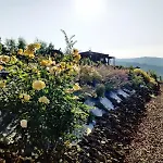 Domek alpejski Faron *